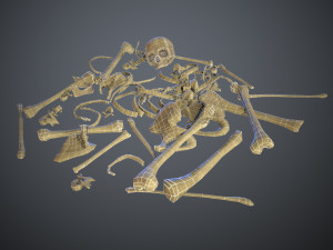 skulls1 stylized bones 3D Модель