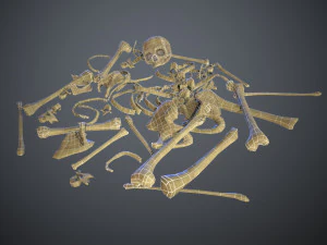 skulls1 stylized bones 3D Model