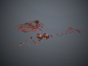 skulls1 meat bones Model 3D