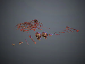 skulls1 meat bones 3D Model