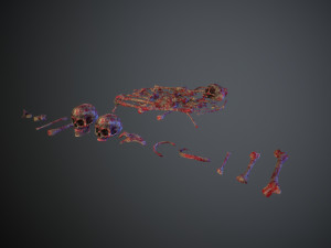skulls1 meat bones Model 3D