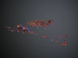 skulls1 meat bones 3D Model