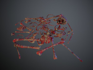 skulls1 meat bones Model 3D