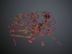skulls1 meat bones 3D Model