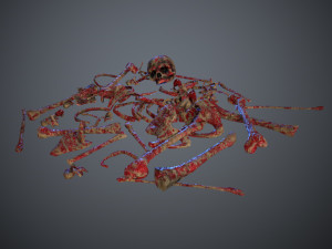 skulls1 meat bones Model 3D