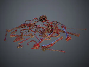 skulls1 meat bones 3D Model
