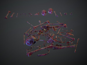 skulls1 meat bones Model 3D