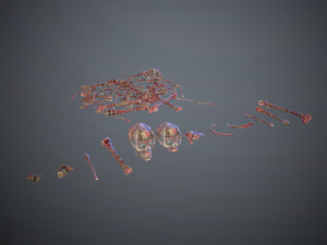 skulls1 meat bones Model 3D