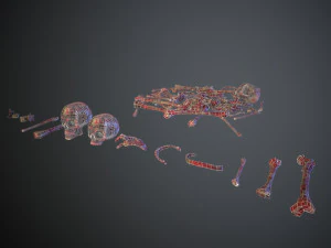 skulls1 meat bones 3D Model