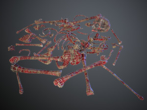 skulls1 meat bones Model 3D