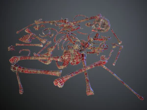 skulls1 meat bones 3D Model