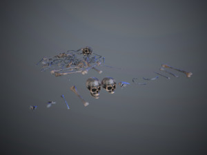skulls1 alien bones Model 3D