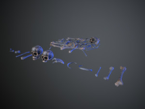 skulls1 alien bones Model 3D