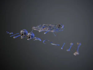 skulls1 alien bones 3D Model