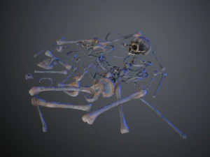skulls1 alien bones 3D Model