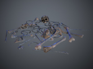 skulls1 alien bones Model 3D