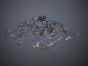 skulls1 alien bones 3D Model