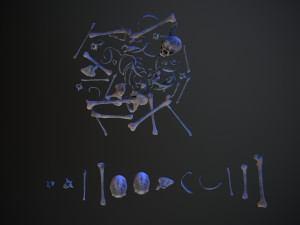 skulls1 alien bones Model 3D
