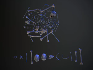skulls1 alien bones 3D Model