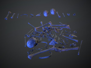 skulls1 alien bones Model 3D