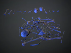 skulls1 alien bones 3D Model