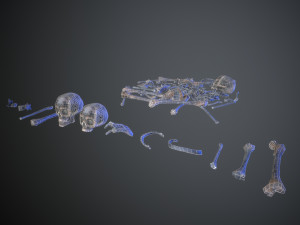 skulls1 alien bones Model 3D