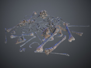 skulls1 alien bones Model 3D