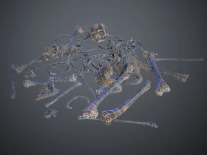 skulls1 alien bones 3D Model