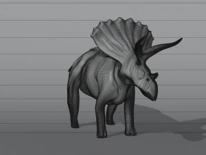トリケラトプス 3Dモデル