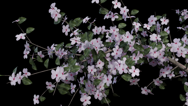 apricot flowering tree 3D Model .c4d .max .obj .3ds .fbx .stl .blend 