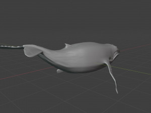 humpback whale 3D मॉडल