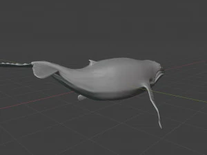humpback whale 3D Model