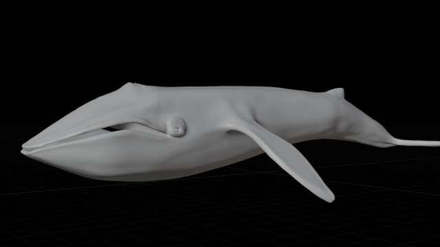 blue whale 3D मॉडल .c4d .max .obj .3ds .fbx .stl .blend 