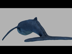 blue whale 3D मॉडल