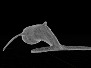 blue whale 3D Model