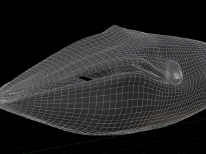 blue whale 3D मॉडल