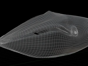 blue whale 3D Model