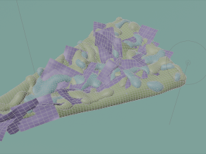 tortilla 3D Model