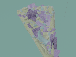 tortilla 3D Model