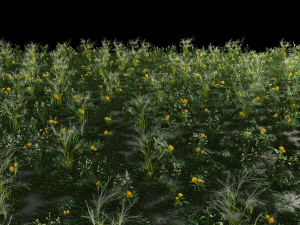 grass archive 3D Model