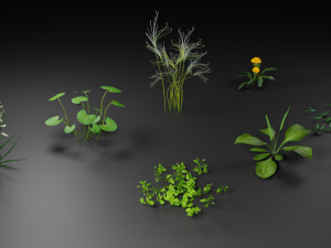 grass archive 3D Модель