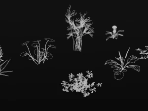 grass archive 3D Model