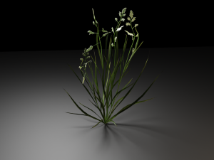 grass archive 3D Модель