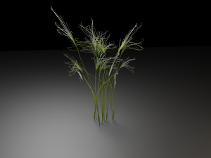 grass archive 3D Модель