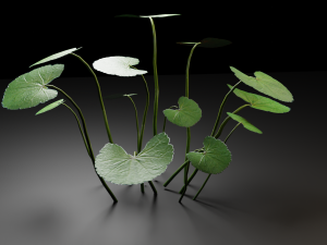 grass archive 3D Модель