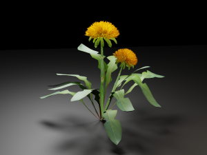 grass archive 3D Модель