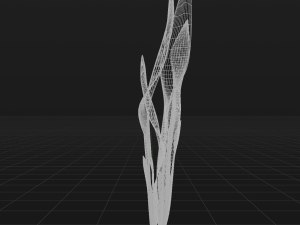 sansevieria 3D Model