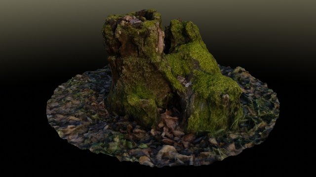 stump in moss 3D Модель .c4d .max .obj .3ds .fbx .stl .blend 