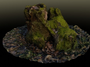 stump in moss 3D-Modell
