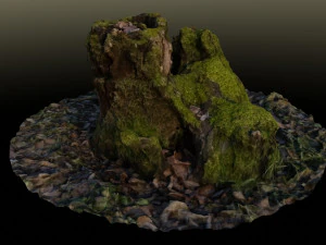 stump in moss 3D Model